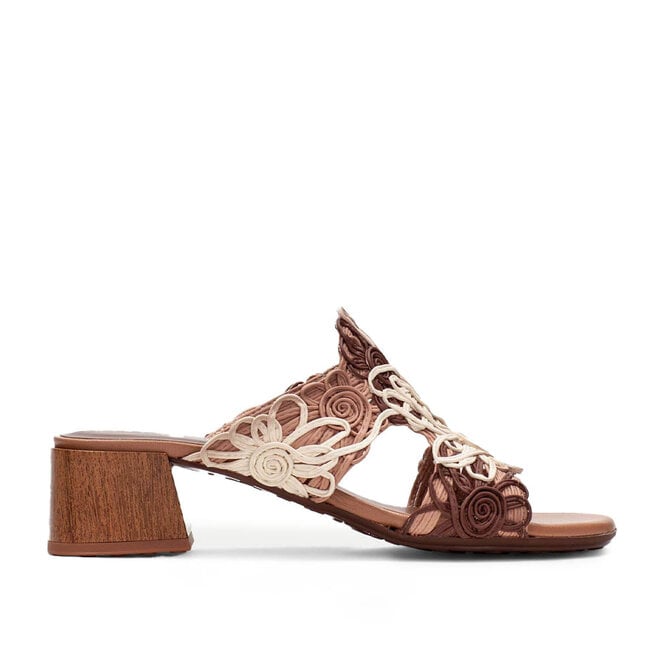 HV264841 Multi Bruin