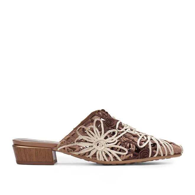 HV264840 Multi Bruin