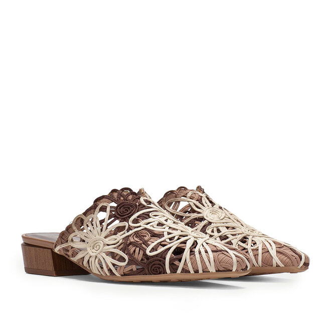 HV264840 Multi Bruin