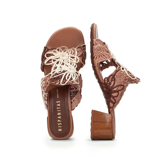 HV264841 Multi Bruin