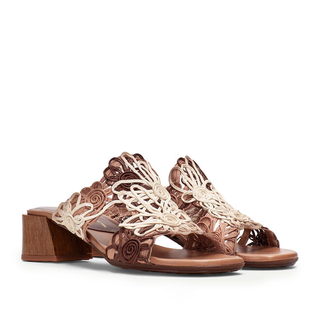 HV264841 Multi Bruin