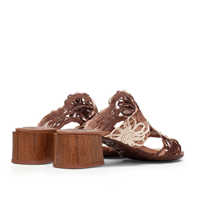 HV264841 Multi Bruin