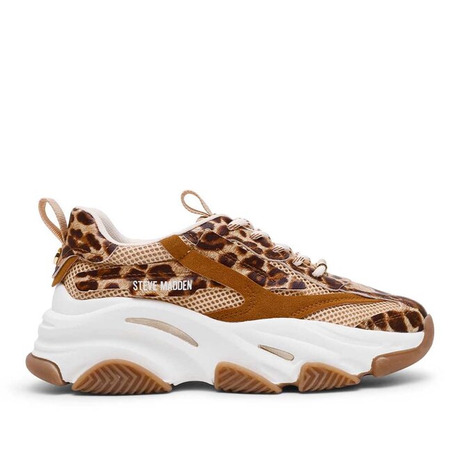 Possession-E Leo Bruin