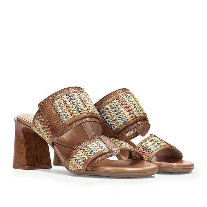 RHV264747 Multi Bruin