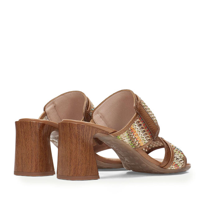 RHV264747 Multi Bruin