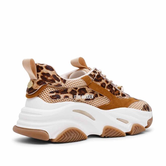 Possession-E Leo Bruin