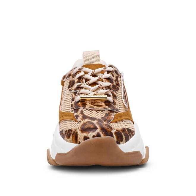 Possession-E Leo Bruin