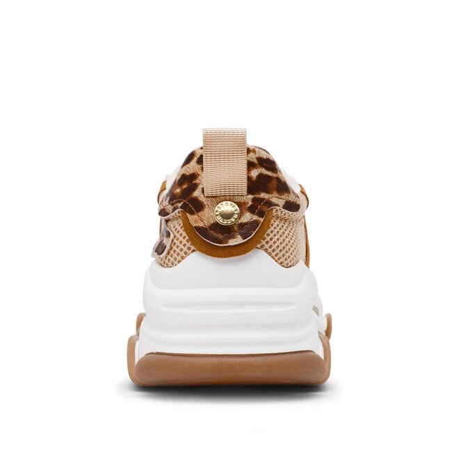 Possession-E Leo Bruin