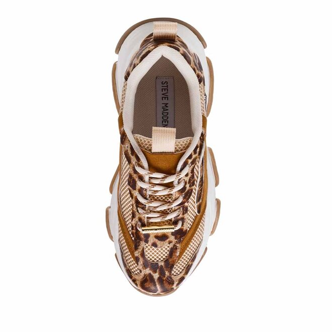 Possession-E Leo Bruin