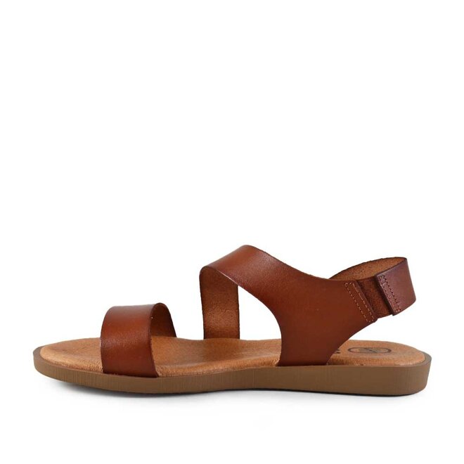 26362 Cognac