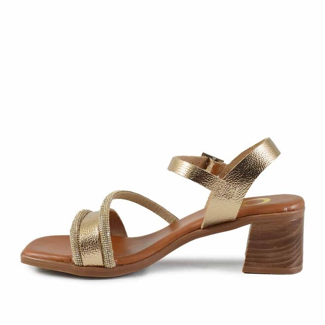 Alegra Goud
