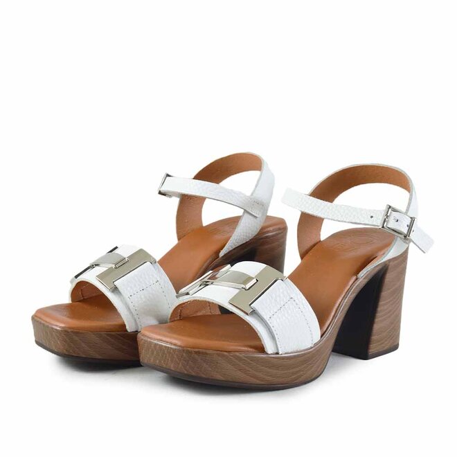 Arena Wit