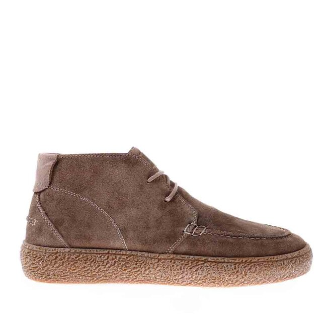 Zane David Taupe