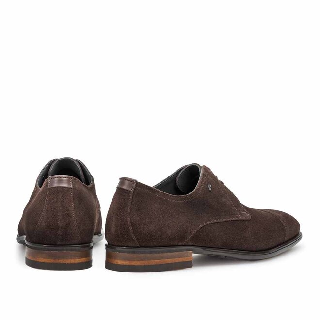 Terra 06.03 Bruin