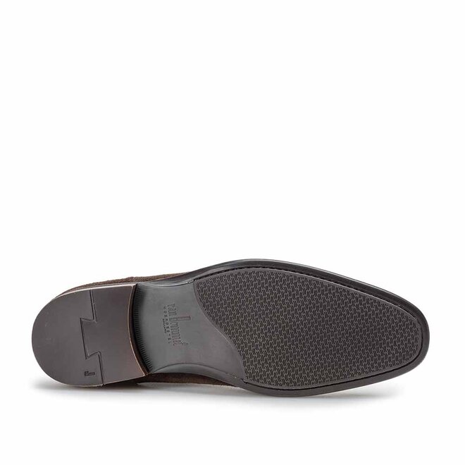 Terra 05.01 Bruin