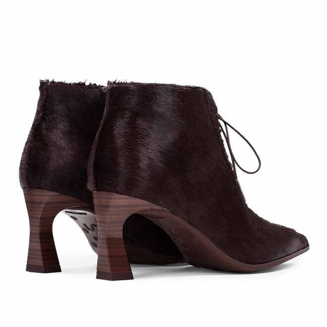 HI264960 Pony Bruin