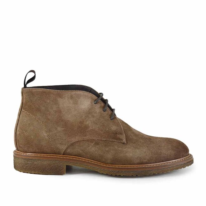 36405 Taupe