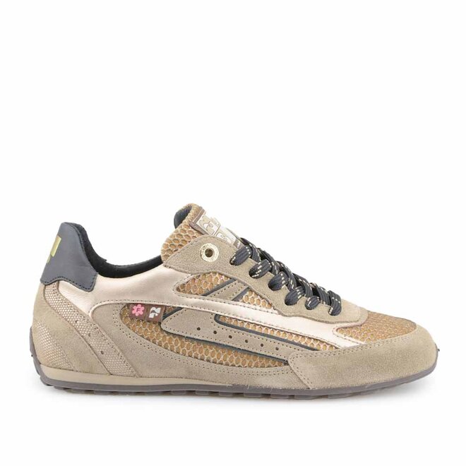 Illvi 01.02 Goud