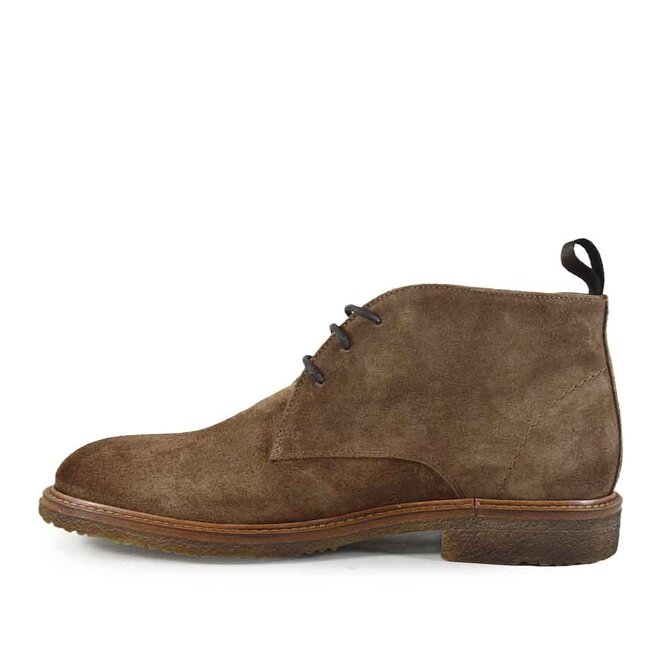 36405 Taupe