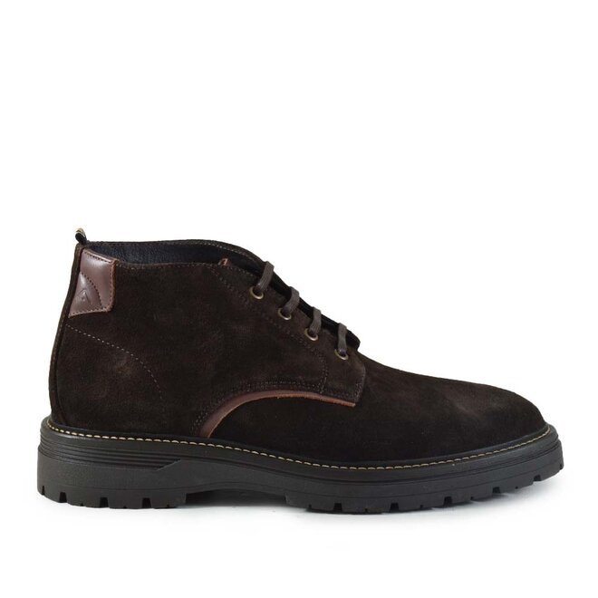 Bert Lace Bruin