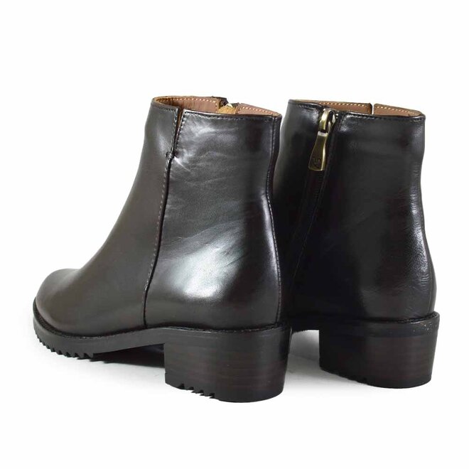 Belport Bruin