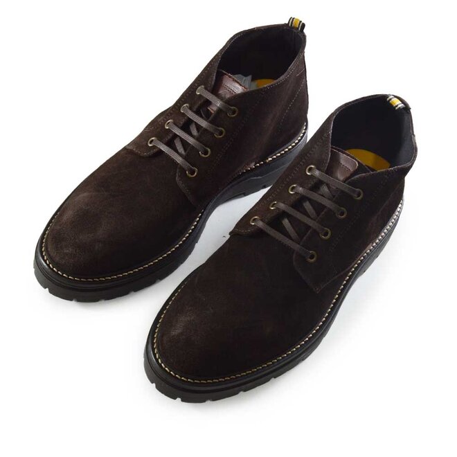 Bert Lace Bruin