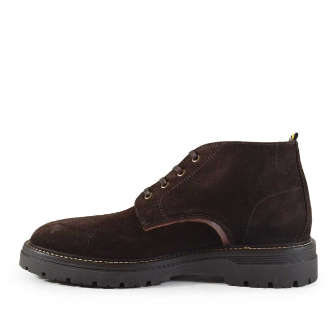 Bert Lace Bruin