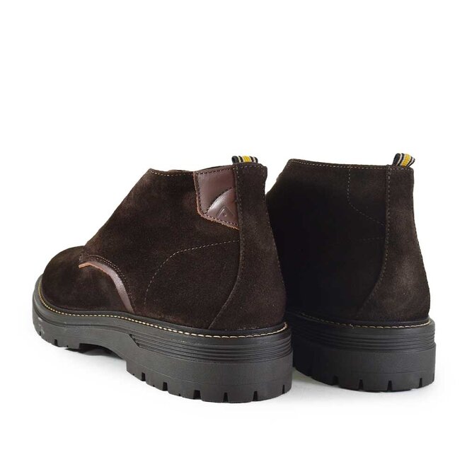 Bert Lace Bruin