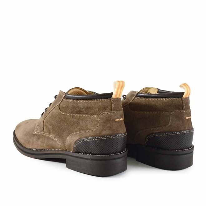 Conte Taupe (S)