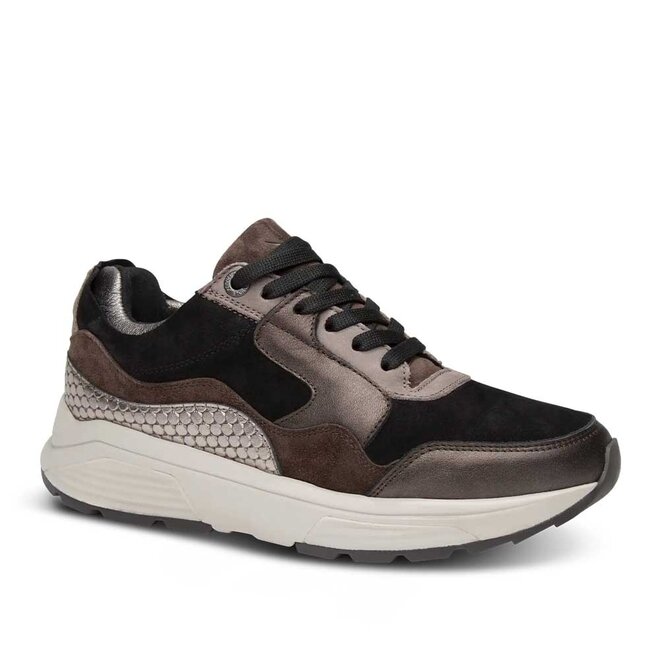 Golden Gate Lady Zwart Brons