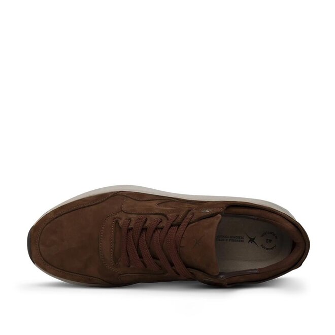 Golden Gate Men Cognac