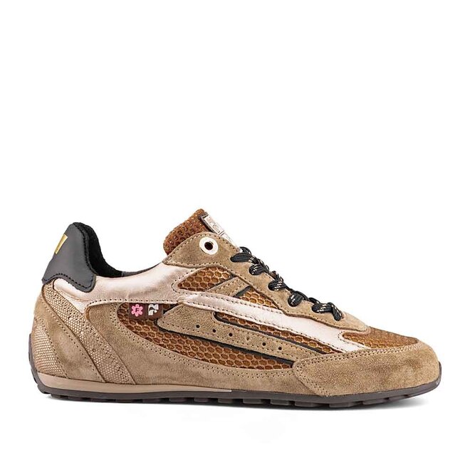 Illvi 01.02 Goud