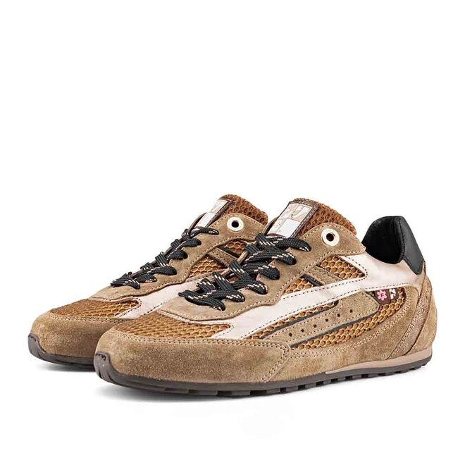 Illvi 01.02 Goud