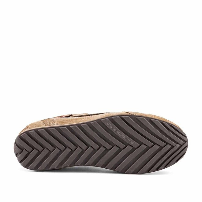 Illvi 01.02 Goud