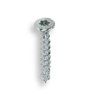 Schroeven Verzinkt Torx 4,0 x 25 mm