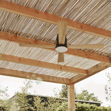 Plafondventilator Evo-CF52BWD