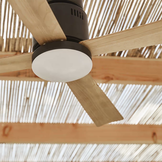 Plafondventilator Evo-CF52BWD