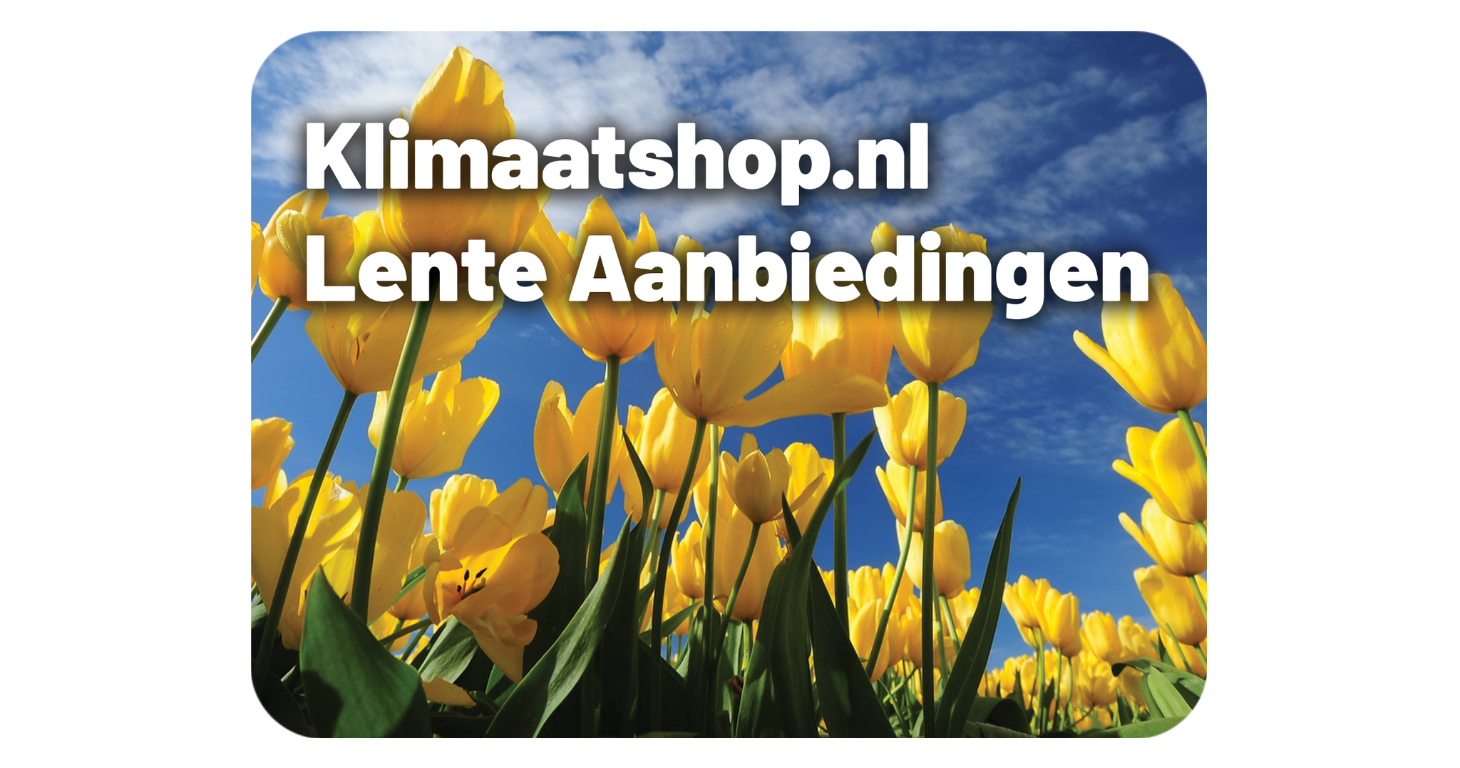 Lente Aanbiedingen