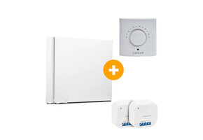 Compleet Infraroodpakket - 105x105 cm - 2 stuks - 1100W