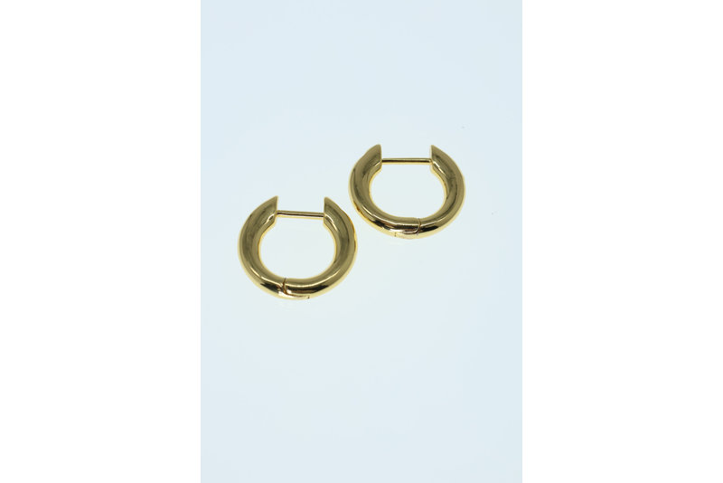 Oorbel oval drop