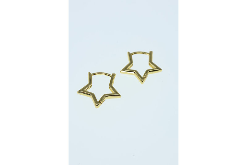Oorbel star