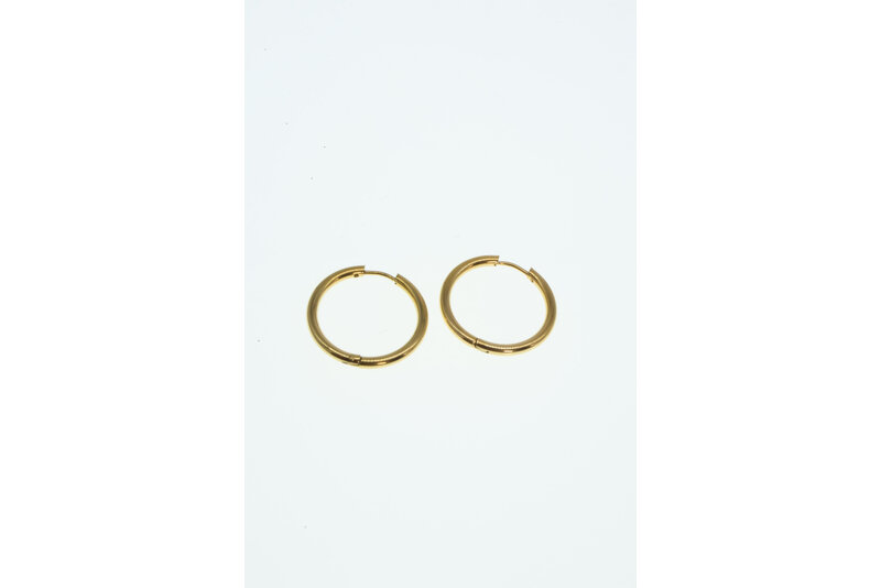 Gouden ring oorbel