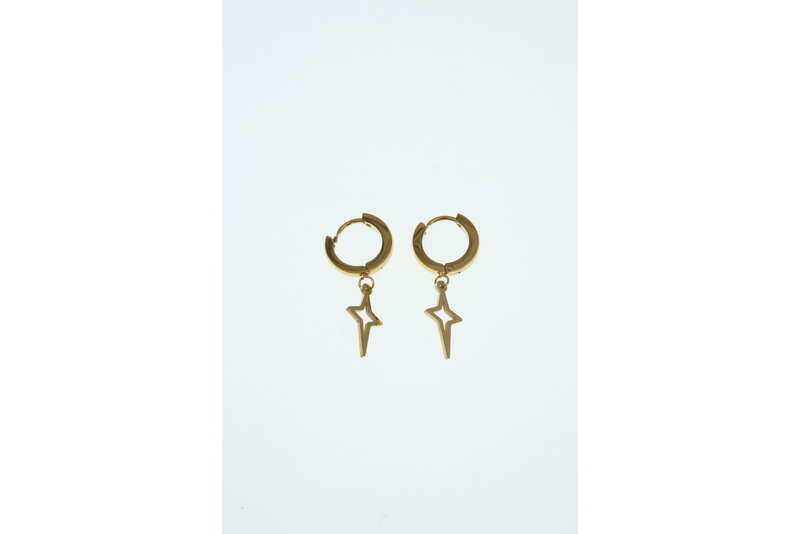 Oorbel goud ster