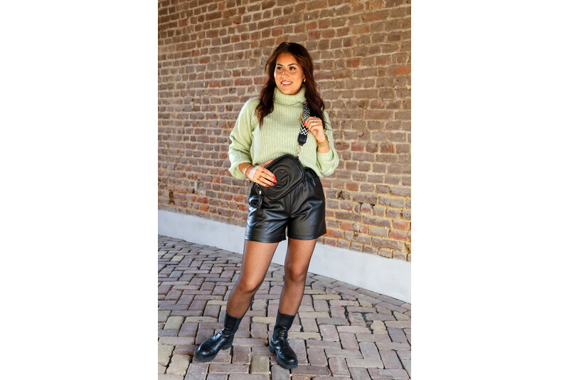 Silja roll neck pull green