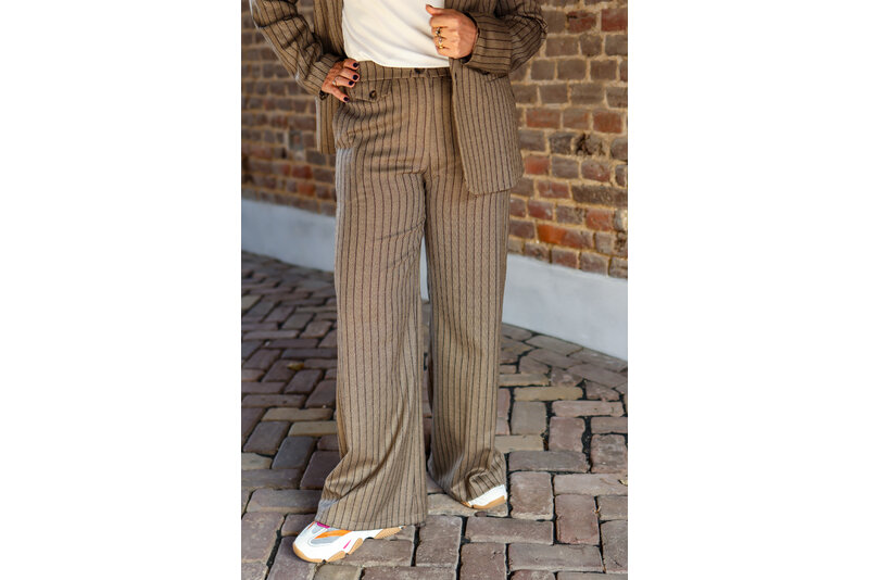 Pant copper stripe