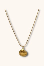 J&J Ketting met hartschelp
