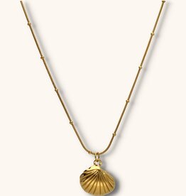 J&J Ketting met hartschelp