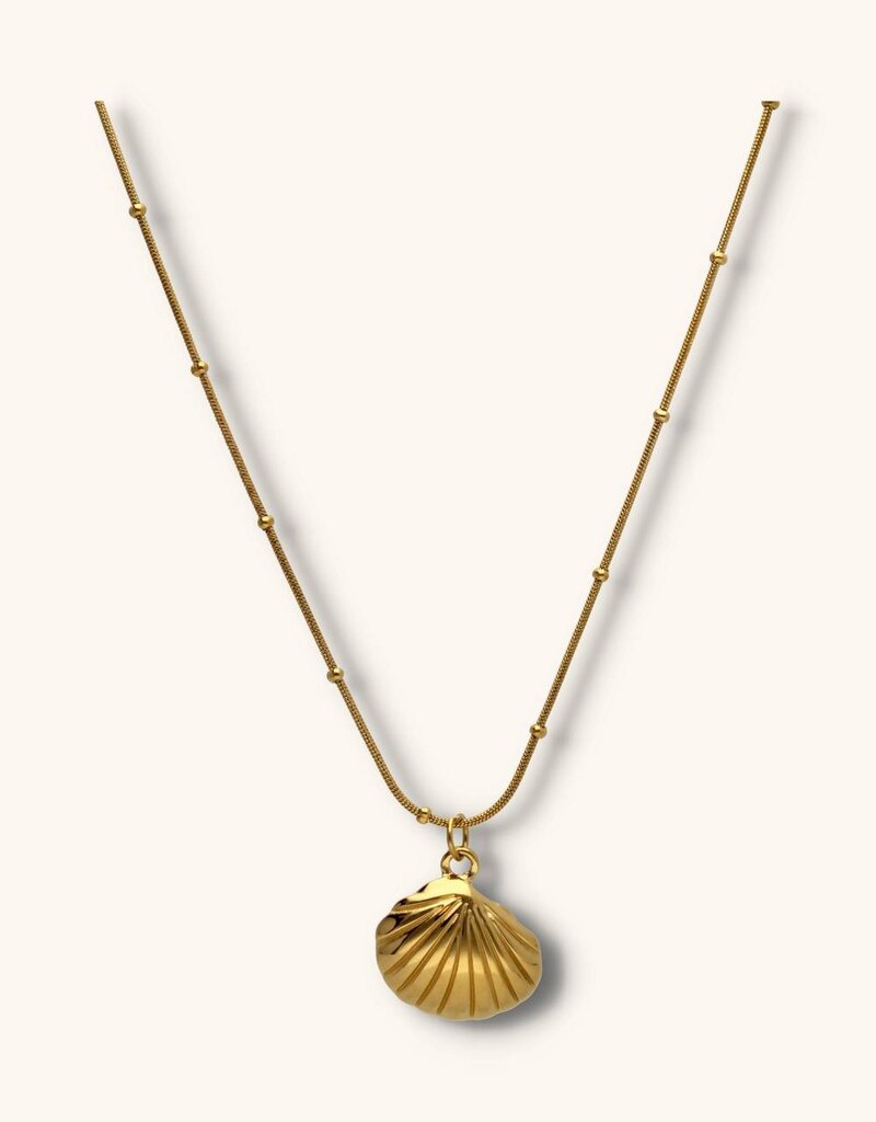 J&J Ketting met hartschelp
