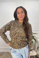 pieces seo ls o-neck  irish cream