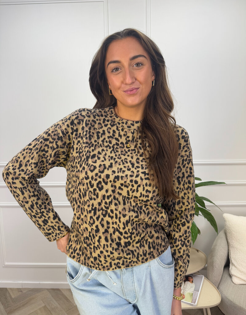 pieces seo ls o-neck  irish cream